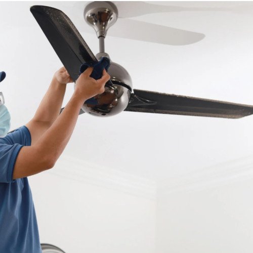 Ceiling fan cleaning