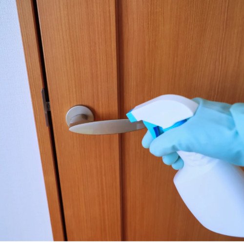 Door cleaning ( one door )