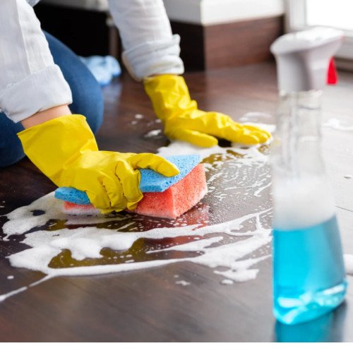 Move in cleaning Furnished ( 3 bhk )