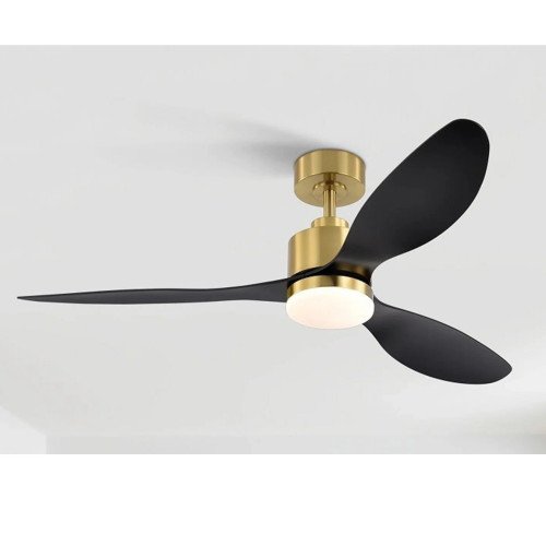 Regular ceiling fan replacement