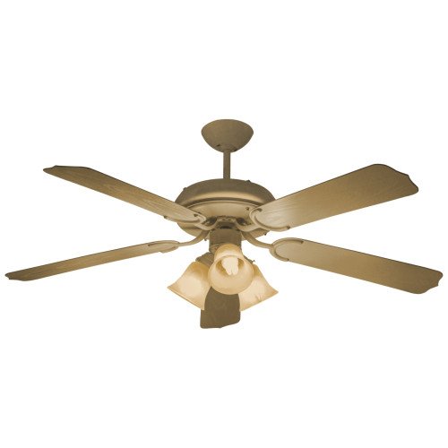 Decorative fan replacement