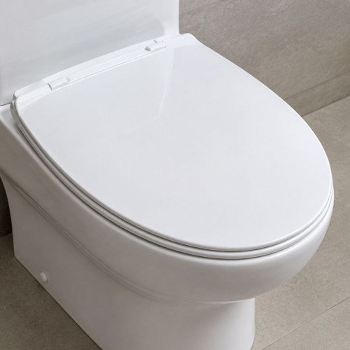 Toilet seat cover installation/ replacement